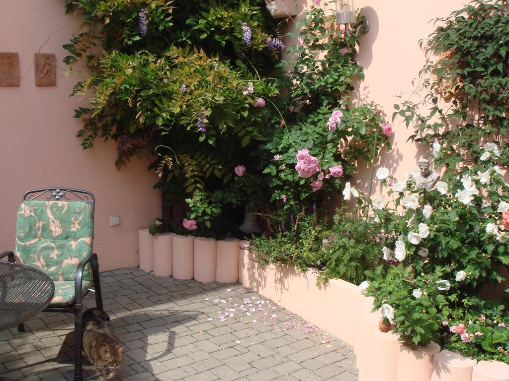 Haus Am Markt Konigstein in der Oberpfalz Ngoại thất bức ảnh
