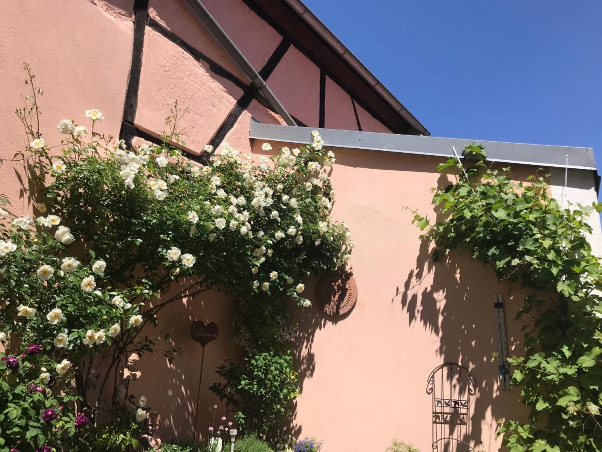 Haus Am Markt Konigstein in der Oberpfalz Ngoại thất bức ảnh